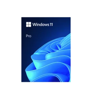 Windows 11 Pro FPP 64-bit Eng Intl USB (HAV-00163)